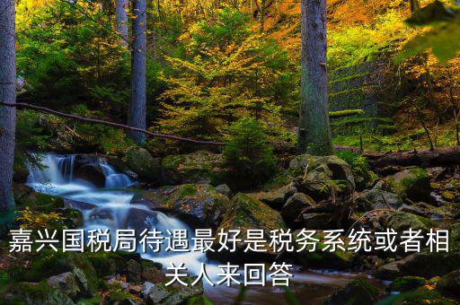 海寧國(guó)稅局待遇如何，嘉興經(jīng)開(kāi)國(guó)稅在哪