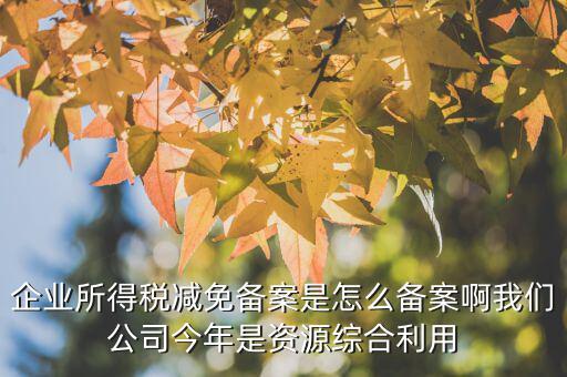 如何打印稅收優(yōu)惠備案通知書，減免稅備案登記告知書在哪里打印的