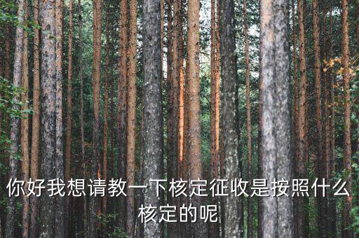 核定征收認(rèn)定如何認(rèn)定，如何核定征收