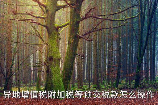跨區(qū)稅源登記 如何繳納附加稅，異地增值稅附加稅等預(yù)交稅款怎么操作