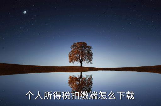 如何下載自然人扣繳客戶端，重慶市自然人電子稅務(wù)局扣繳端怎么下載