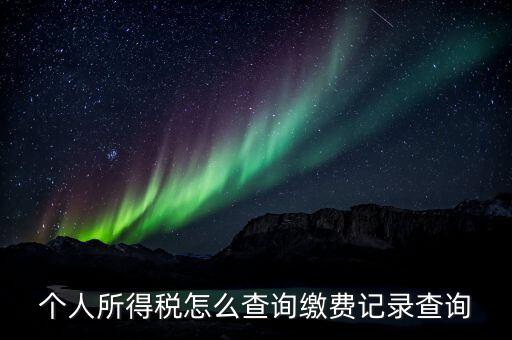 金稅三期個人所得稅如何查詢，個人所得稅怎么查詢繳費記錄查詢