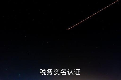 湖北省公司辦稅人員如何實名，稅務實名制信息采集