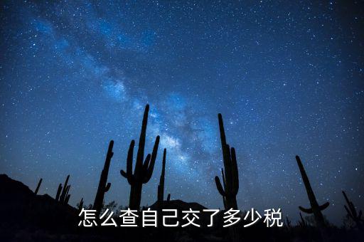 如何查詢交稅，如何查詢企業(yè)繳稅情況