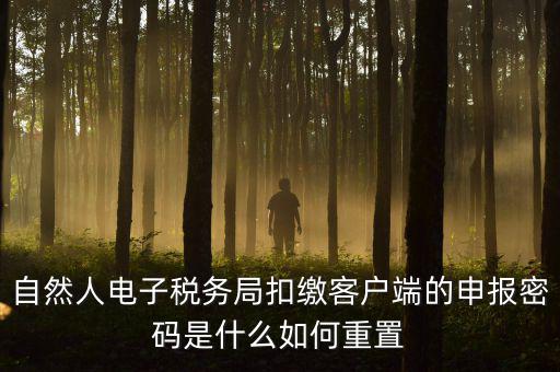 自然人納稅申報(bào)密碼如何找回，電子稅務(wù)局密碼忘記了怎么找回