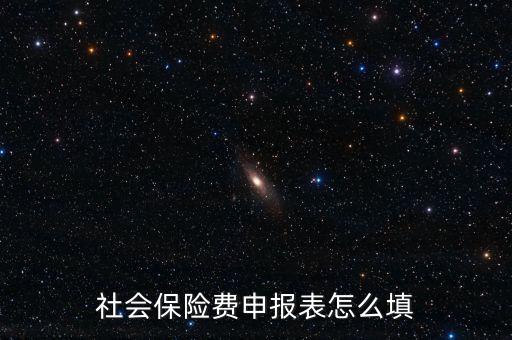 稅務(wù)系統(tǒng)社保費(fèi)申報(bào)表如何填報(bào)，社會(huì)保險(xiǎn)費(fèi)申報(bào)表怎么填