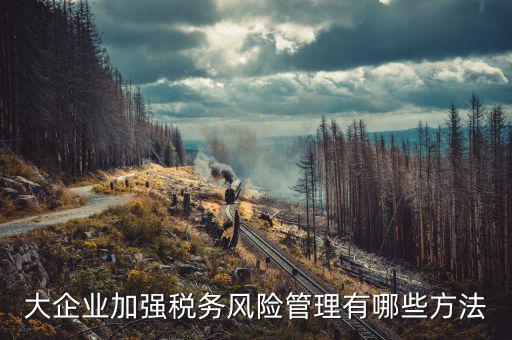 如何加強對重點企業(yè)的稅務管理辦法，加強大企業(yè)的稅收管理有何良策