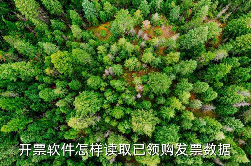 發(fā)票數(shù)據(jù)如何采集，開票軟件怎樣讀取已領(lǐng)購發(fā)票數(shù)據(jù)