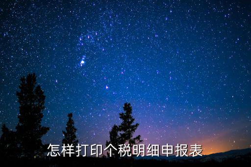 怎樣打印個稅明細(xì)申報(bào)表