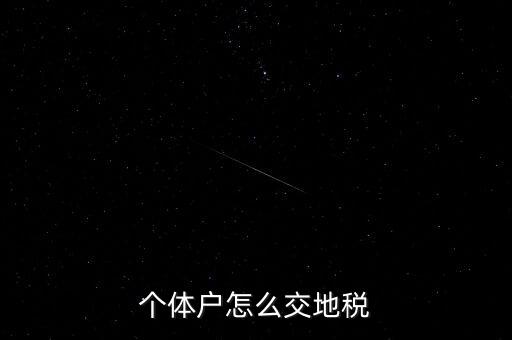 個體工商如何注冊地稅，剛拿到個體工商戶營業(yè)執(zhí)照如何辦理國地稅證