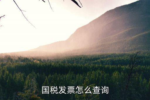 河北省的發(fā)票如何查詢，我的發(fā)票在河北地稅網(wǎng)上可以查到信息都沒有問題但是河北地稅