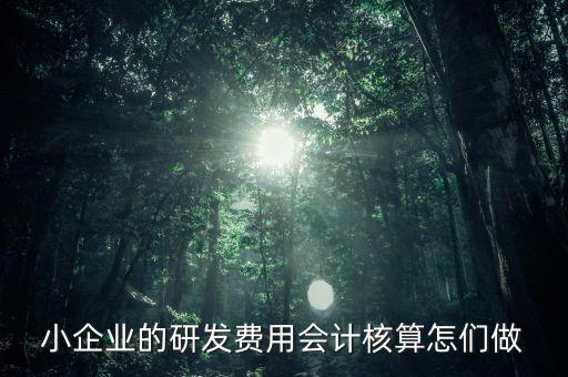 小企業(yè)的研發(fā)費(fèi)用會計(jì)核算怎們做