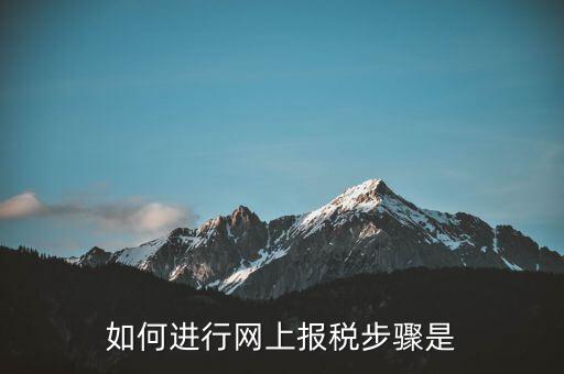 如何推行網(wǎng)上辦稅，如何辦理網(wǎng)上納稅