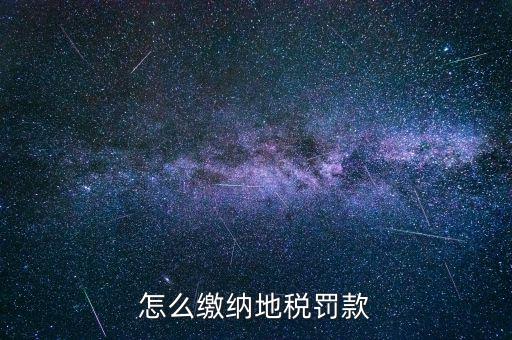 納稅行政處罰如何辦理，稅收行政處罰簡易程序適用條件是什么