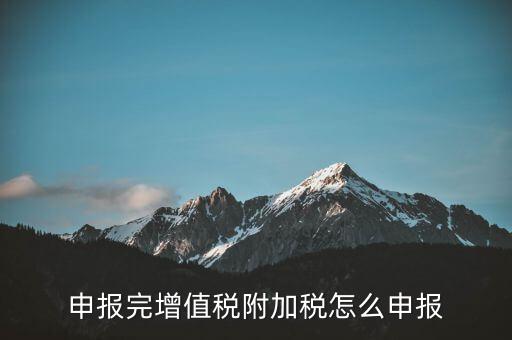 附加稅在國家稅務(wù)局網(wǎng)如何申報(bào)表，網(wǎng)上申報(bào)城建稅教育附加稅怎么填