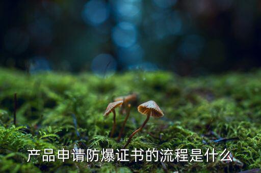 如何辦理防爆用地，產(chǎn)品辦理防爆認(rèn)證流程有哪些