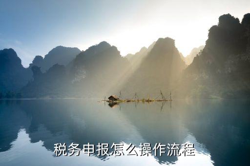 北京國家稅務(wù)局如何申報(bào)，國稅如何網(wǎng)上零申報(bào) 具體步驟有五個(gè)
