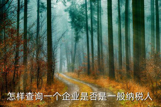 遼寧如何查一般納稅人，怎樣查詢一個企業(yè)是否是一般納稅人