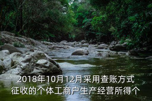 2018年10月12月采用查賬方式征收的個體工商戶生產經營所得個