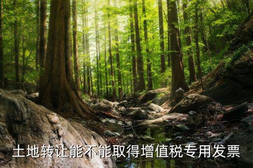 轉(zhuǎn)讓土地如何開(kāi)票，土地轉(zhuǎn)讓能不能取得增值稅專(zhuān)用發(fā)票