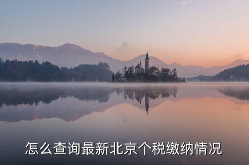 北京市 欠稅人員如何查詢，稅務(wù)欠稅信息如何查詢