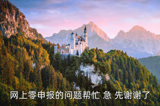 廣東如何網上0申報，網上零申報的問題幫忙 急 先謝謝了