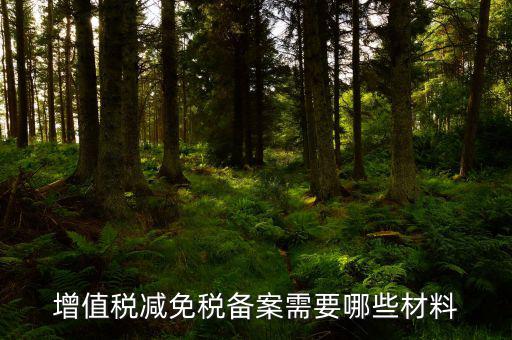 如何辦理納稅人減免稅備案登記，增值稅減免稅備案需要哪些材料