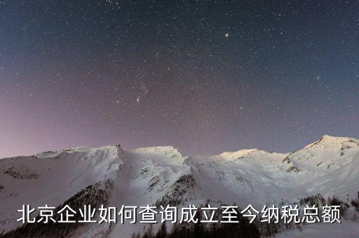 北京如何查詢(xún)公司的納稅等級(jí)，在國(guó)稅局要查一個(gè)公司的納稅情況怎么查
