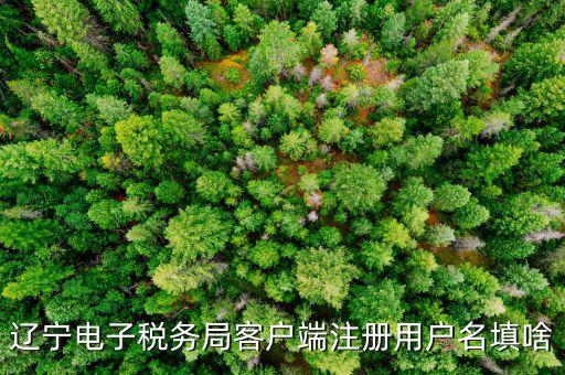 如何注冊(cè)社保電子稅務(wù)局賬號(hào)，遼寧電子稅務(wù)局客戶端注冊(cè)用戶名填啥