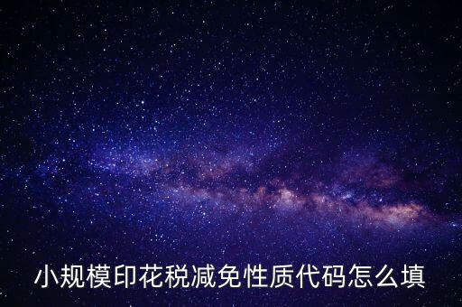 印花稅減免額 如何填寫，六稅兩費印花稅減半怎么申報