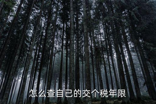 如何查詢納稅期限，怎么查自已的交個稅年限
