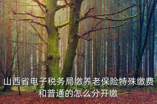 山西養(yǎng)老保險(xiǎn)如何和國稅局對(duì)接，交養(yǎng)老保險(xiǎn)交到國家稅務(wù)總局怎么辦