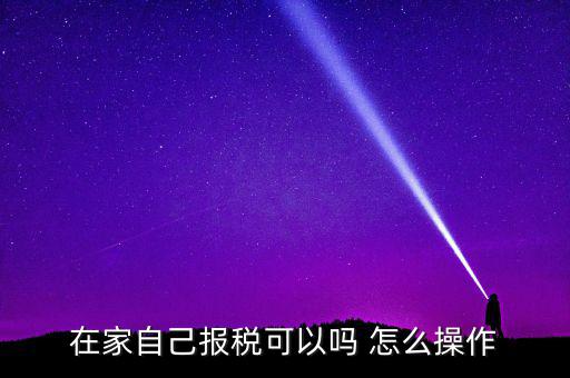 如何自行申報(bào)納稅，在家自己報(bào)稅可以嗎 怎么操作