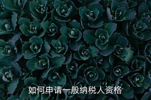 一般納稅人如何申請(qǐng)B級(jí)，一般納稅人B類企業(yè)如何申報(bào)企業(yè)所得稅