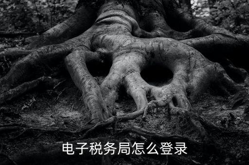 如何登錄稅務(wù)局官網(wǎng)，電子稅務(wù)局怎么登錄