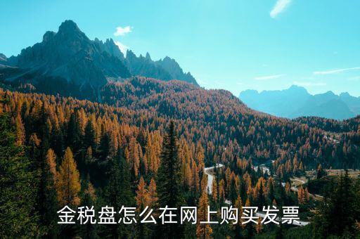 金稅盤如何網上購票，金稅盤領購發(fā)票的流程