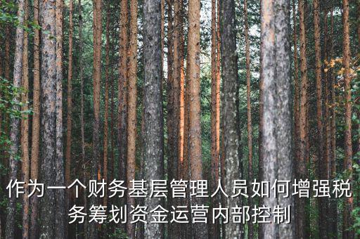 作為一個(gè)財(cái)務(wù)基層管理人員如何增強(qiáng)稅務(wù)籌劃資金運(yùn)營內(nèi)部控制
