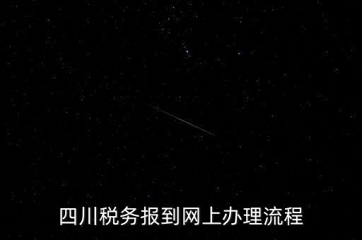 四川企業(yè)地稅如何網(wǎng)上申報系統(tǒng)，稅務(wù)申報如何網(wǎng)上申報