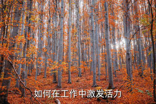 如何激發(fā)稅務(wù)干部的活力，在稅收工作中如何激發(fā)下屬的潛力
