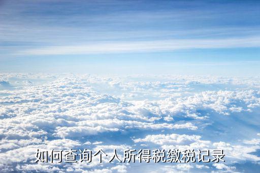 如何查詢(xún)個(gè)人所得稅繳稅記錄