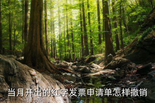 如何撤銷紅字發(fā)票申請(qǐng)書，紅字申請(qǐng)單如何作廢