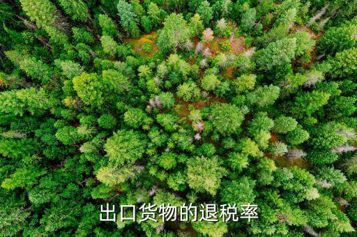 如何查看出口退稅產(chǎn)品退稅率，浙江省電子稅務局怎么查出口退稅率