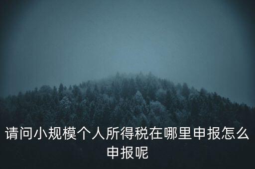 如何申報自然人兩處所得，請問小規(guī)模個人所得稅在哪里申報怎么申報呢