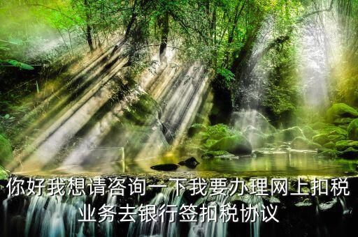 如何辦理稅庫銀，去稅務(wù)局辦理稅控盤需要什么資料流程怎么走呢
