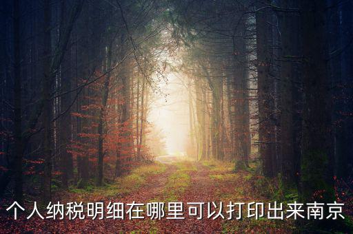 如何打印個(gè)稅明細(xì)，個(gè)人納稅明細(xì)在哪里可以打印出來(lái)南京