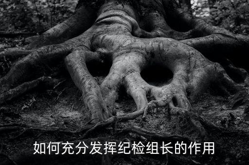 稅務(wù)局如何貫徹落實(shí)紀(jì)檢組長(zhǎng)的講話，如何充分發(fā)揮紀(jì)檢組長(zhǎng)的作用