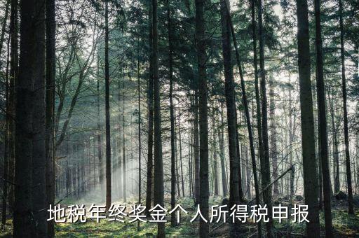 地方稅務(wù)局網(wǎng)上如何申報(bào)年終獎(jiǎng)，網(wǎng)上報(bào)稅中年終獎(jiǎng)怎么報(bào)怎么操作啊