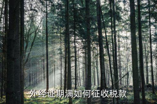 外經證期滿如何征收稅款