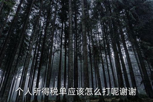 如何打印個(gè)人所得稅清單，請(qǐng)問(wèn)如何打印個(gè)人個(gè)人所得稅繳款單據(jù)