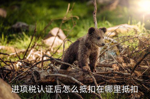 動(dòng)產(chǎn)進(jìn)項(xiàng)稅如何抵扣，進(jìn)項(xiàng)稅是怎么個(gè)抵扣法